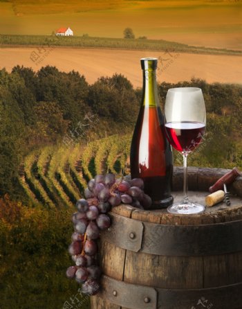 葡萄庄园与红酒