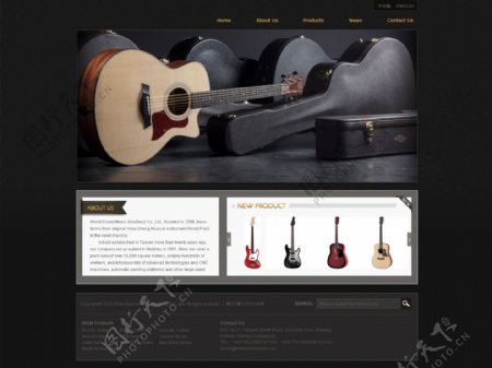 吉它产品网站首页图片