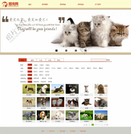 宠物网页效果图