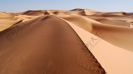 标准阳光沙漠图
