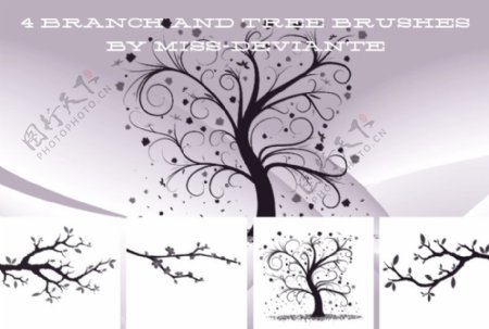 艺术植物树枝树杈大树图案photoshop笔刷素材