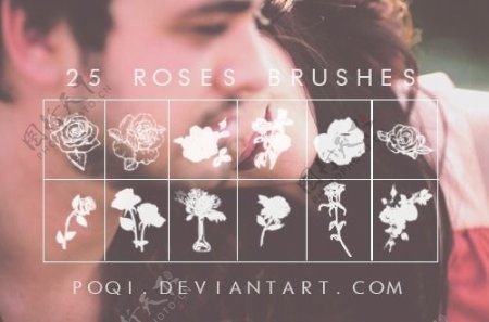 手绘玫瑰花鲜花图案PS笔刷下载