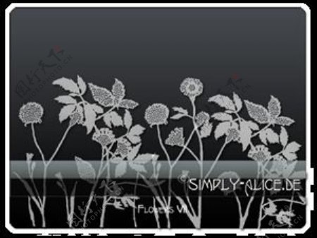 漂亮的植物花纹照片美图背景边框饰品PS笔刷.7