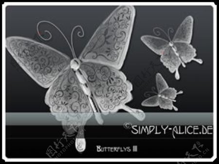 高贵的手绘光影蝴蝶花纹图案PS美图笔刷