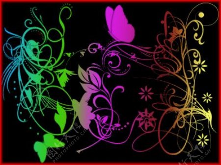 漂亮的艺术蝴蝶植物花纹PS照片美图笔刷