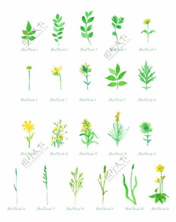水彩水粉水墨画式植物图案小草绿叶PS笔刷下载
