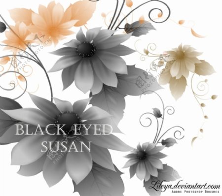黑眼睛Susanf