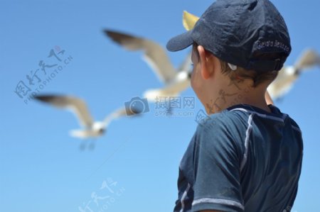 小男孩望向天空的鸟
