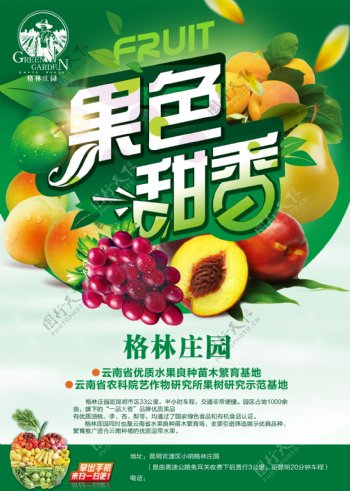 绿色食品海报设计
