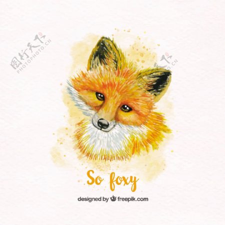 手绘可爱的水彩狐狸设计素材