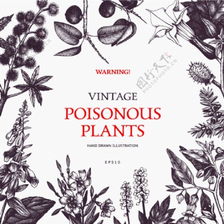 有毒植物警告海报装饰背景矢量素材