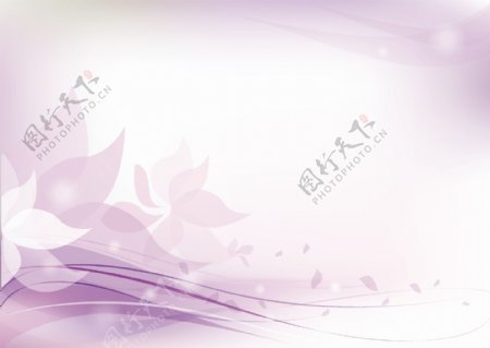 简单的白色和紫色花的背景图案海报图