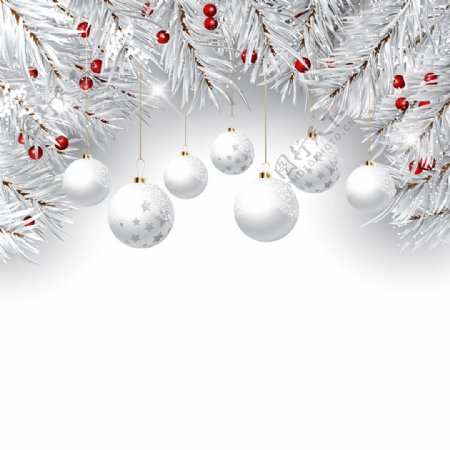 松树树枝挂件装饰圣诞背景