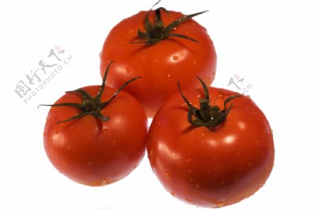 三个番茄素材