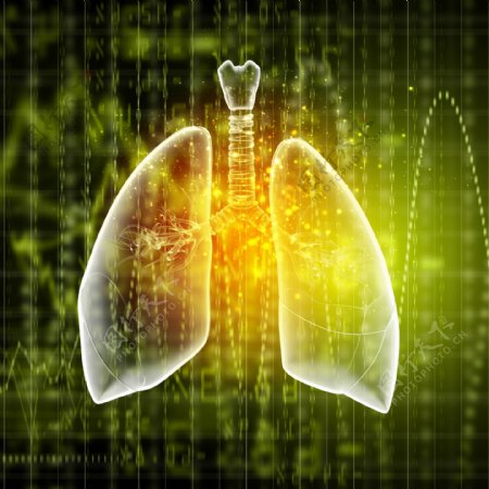 竖线光点和人体肺部图片