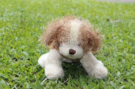 草地上的玩具狗