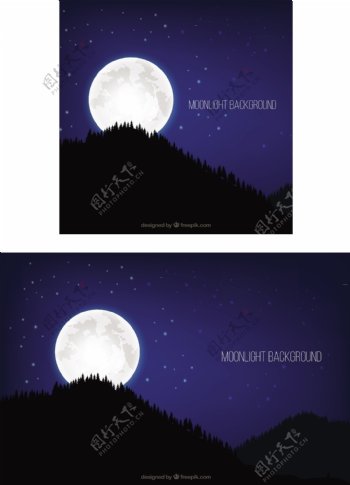 树木与满月的现实背景