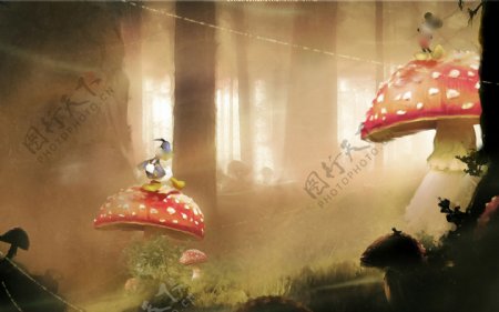森林蘑菇图片素材