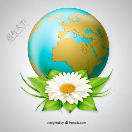 精美雏菊花与地球设计矢量图