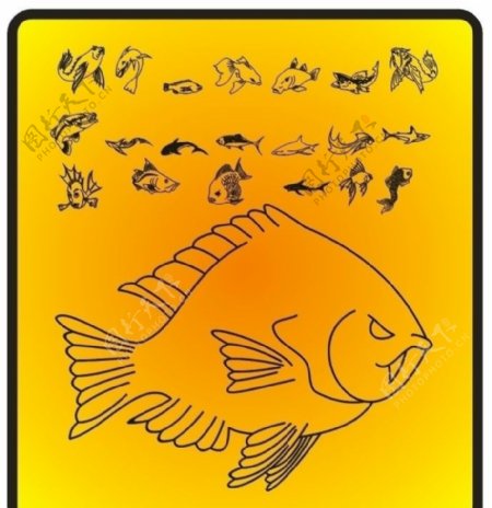 鱼矢量动物图案下载
