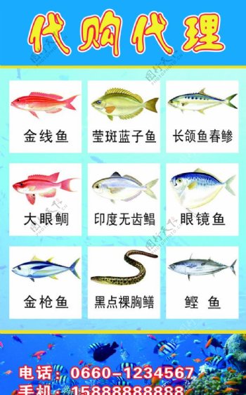 海产品鱼