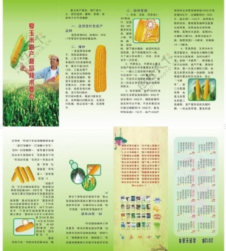 玉米四折页联版图片
