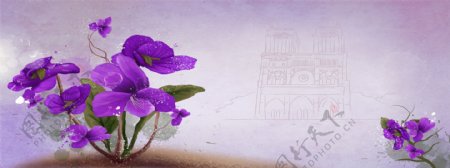 紫色的蝴蝶花背景