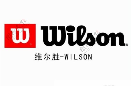 维尔胜wilson