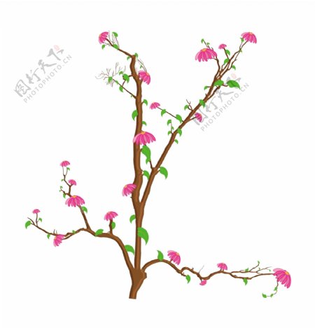 装饰的粉色的花枝