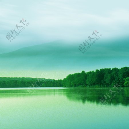 茶叶茶文化湖水树背景