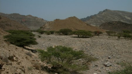 也门的戈壁滩图片