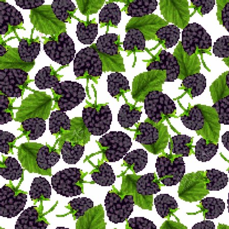 新鲜黑莓无缝背景矢量素材