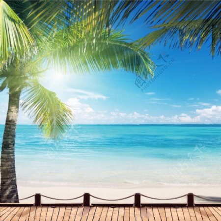 蓝天白云海滩椰子树背景