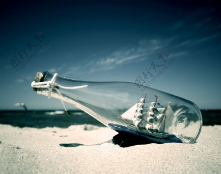 酒瓶天空沙滩海螺