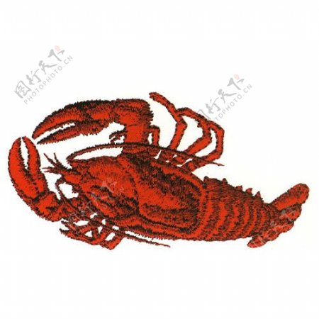 绣花动物色彩红色龙虾免费素材
