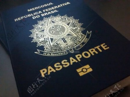 护照证件