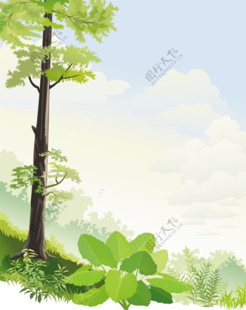 蓝天白云与植物风景插画