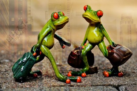 青蛙旅行纪念品