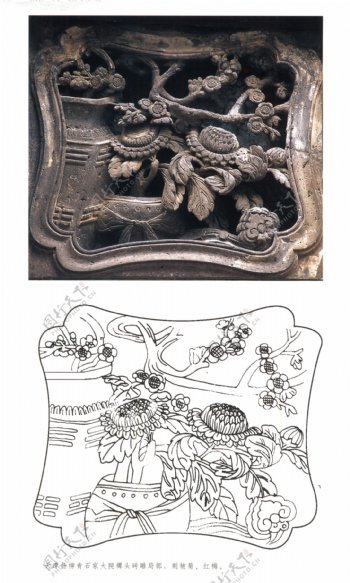 古代建筑雕刻纹饰草木花卉牡丹月季14
