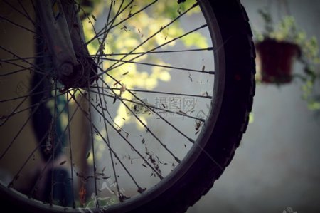 孤独的自行车车轮