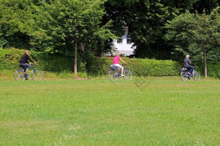 草地上的自行车