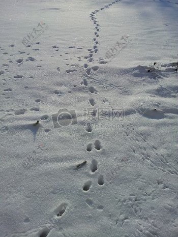 雪中的行人脚印
