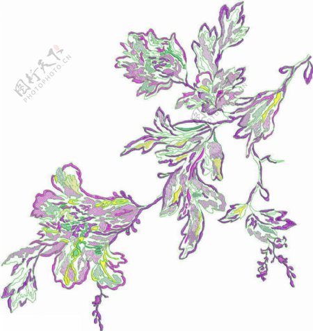 绣花植物花色彩五彩斑斓免费素材