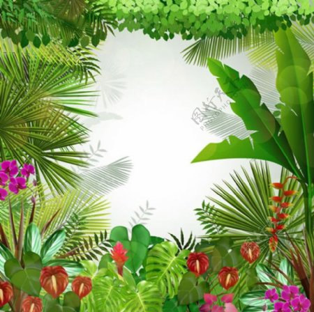 热带植物背景矢量素材下载