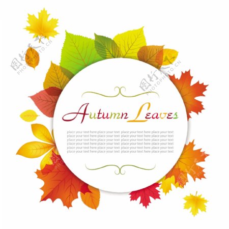 手绘的秋季树叶背景矢量图素材