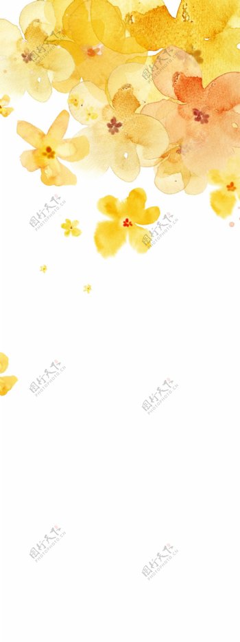 简约黄色花朵展板背景