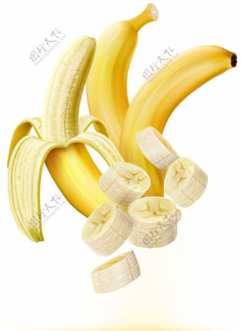 写实逼真的香蕉插画