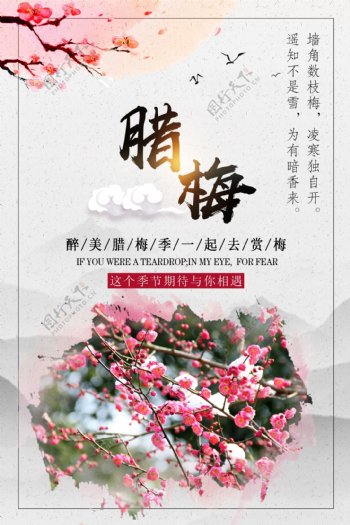 腊梅中国风旅游宣传海报