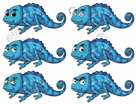 蓝蜥蜴有六种不同的感情