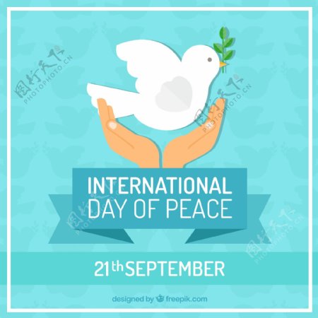 创意国际和平日手捧白鸽插画